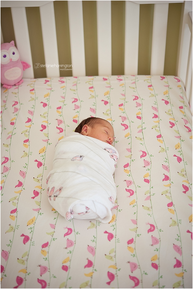 Newborn Photographer Washington Dc Baby Birds Modern Nursery